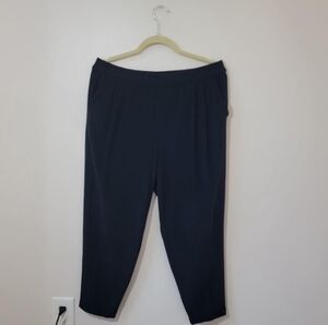 Eileen Fisher Black Tencel Wide Leg Pull On Pants Size Large Black Elastic Waist